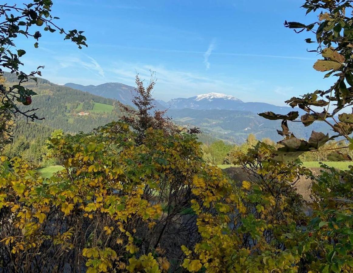 Familiengasthof Pension Oedenhof Sankt Corona am Wechsel Exteriér fotografie